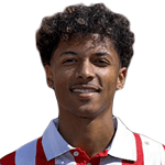 Charles-Andreas Brym, NAC Breda Attacking Midfielder