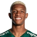 Danilo, Botafogo Defensive Midfielder