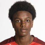 Alvyn Sanches, BSC Young Boys Central Midfielder