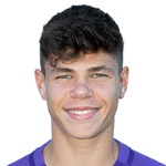 Luca Pazourek, TSV Hartberg Left Wing Back