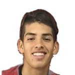 Blas Agustín Palavecino, Aldosivi Centre Forward