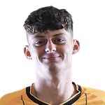 Sebastian Palmer-Houlden, Motherwell Centre Forward