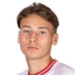 Jesse van de Haar, Waalwijk Centre Forward