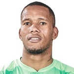 Ricardo Goss, Mamelodi Sundowns Goalkeeper